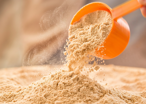 Whey protein sem sabor para utilização em receitas