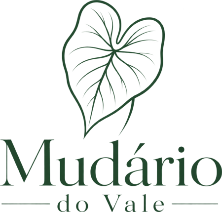 Mudário do Vale