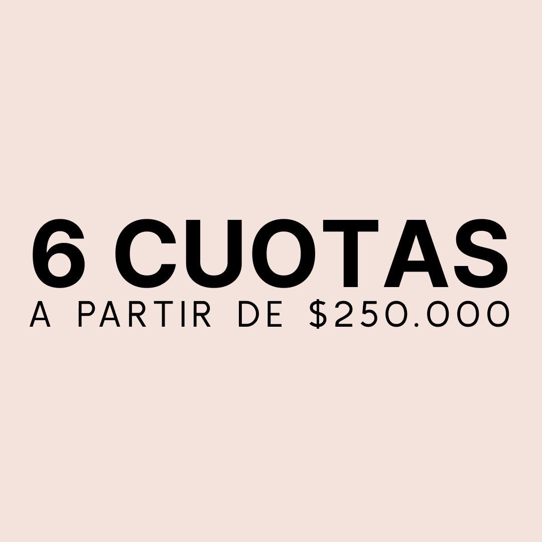 6 cuotas sin interés