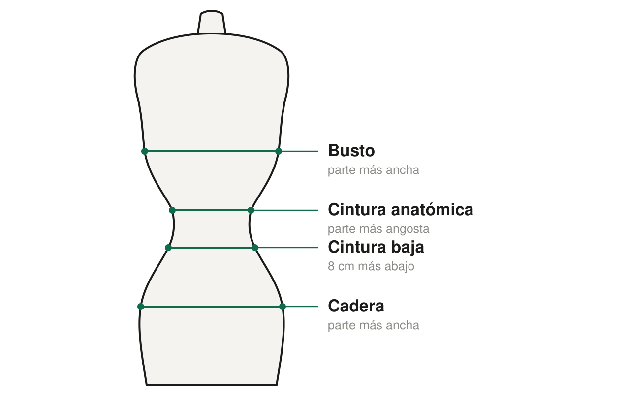D&oacute;nde tomar cada medida: busto, cintura anat&oacute;mica, cintura baja y cadera