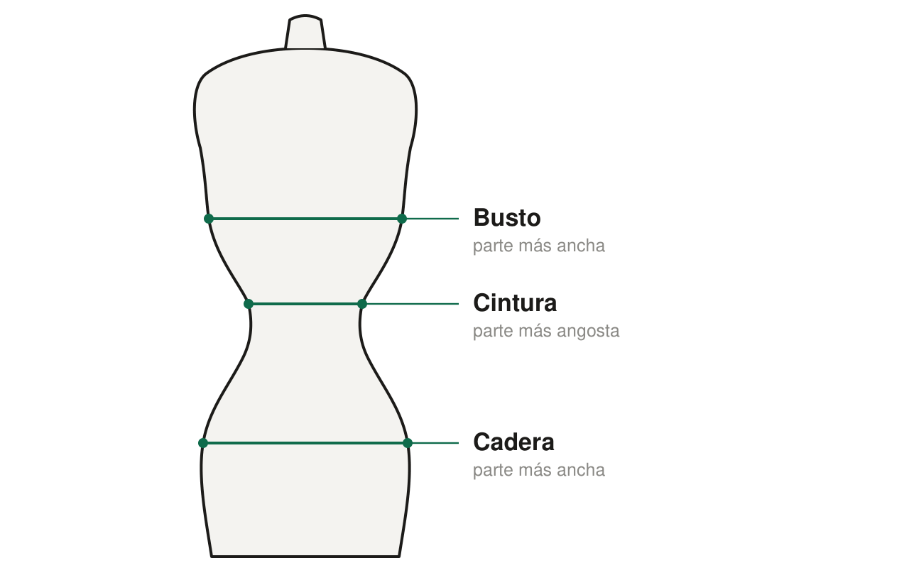 D&oacute;nde tomar cada medida: busto, cintura y cadera