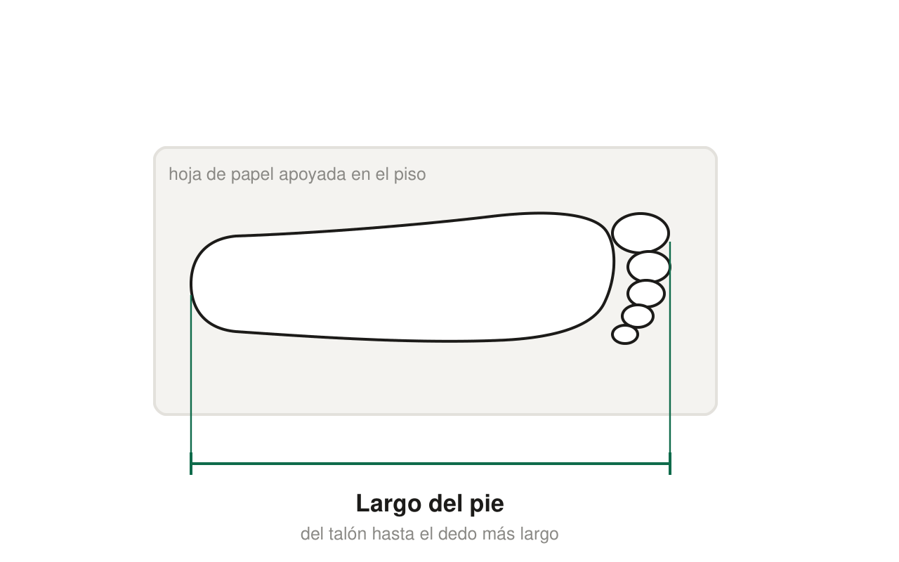 C&oacute;mo medir el largo del pie: del tal&oacute;n hasta el dedo m&aacute;s largo