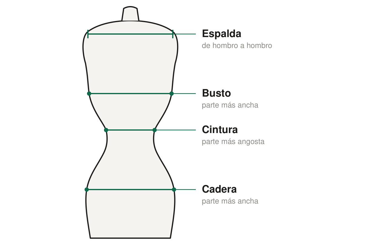 D&oacute;nde tomar cada medida: espalda, busto, cintura y cadera