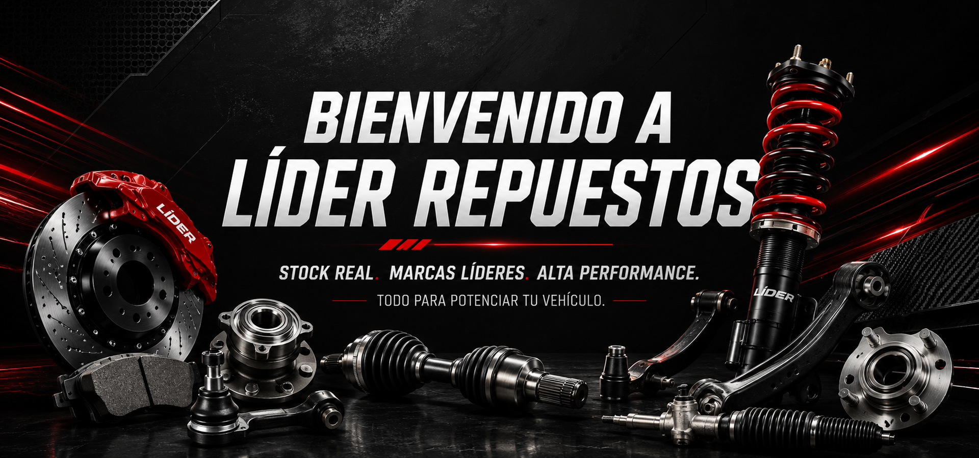 Bienvenido a Líder Repuestos