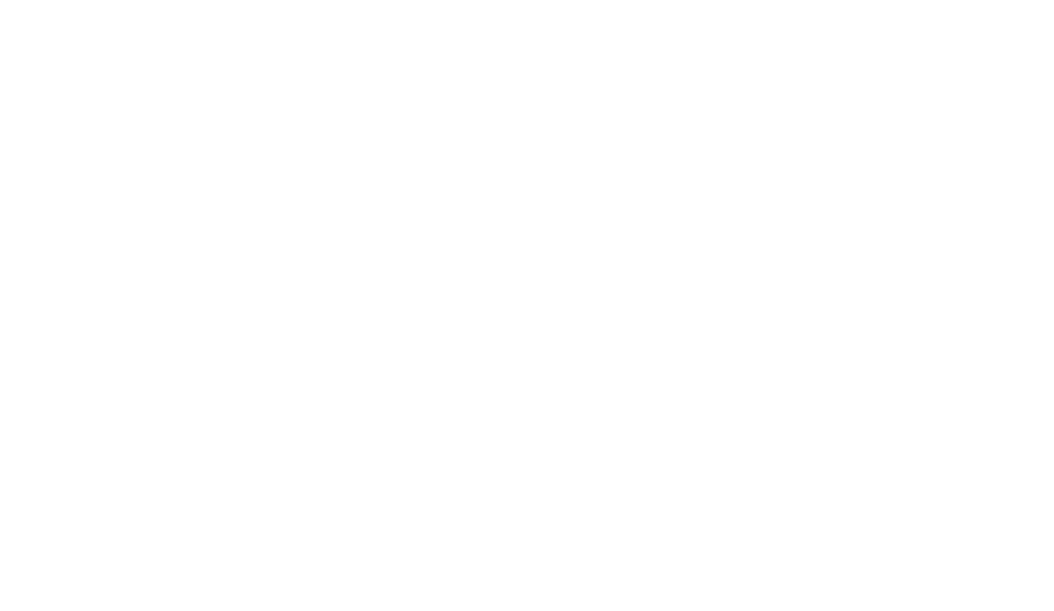 Celebrity