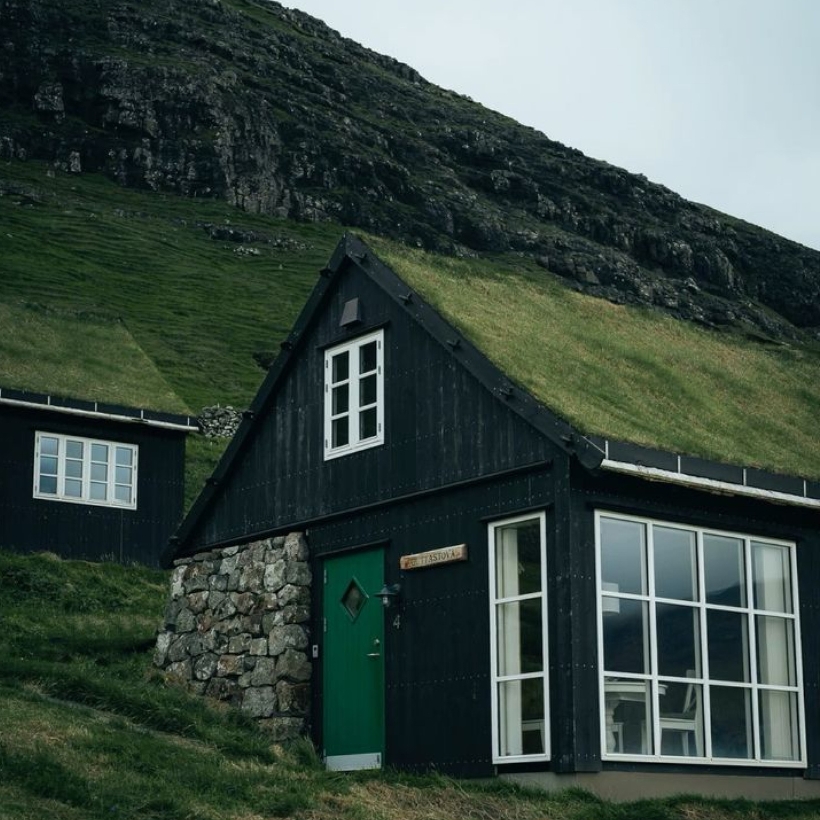 El espíritu de Skog
