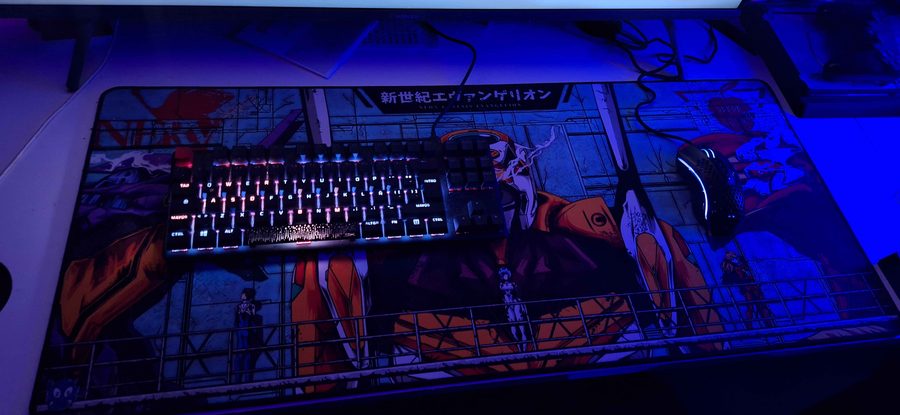 Últimas keycaps recibidas