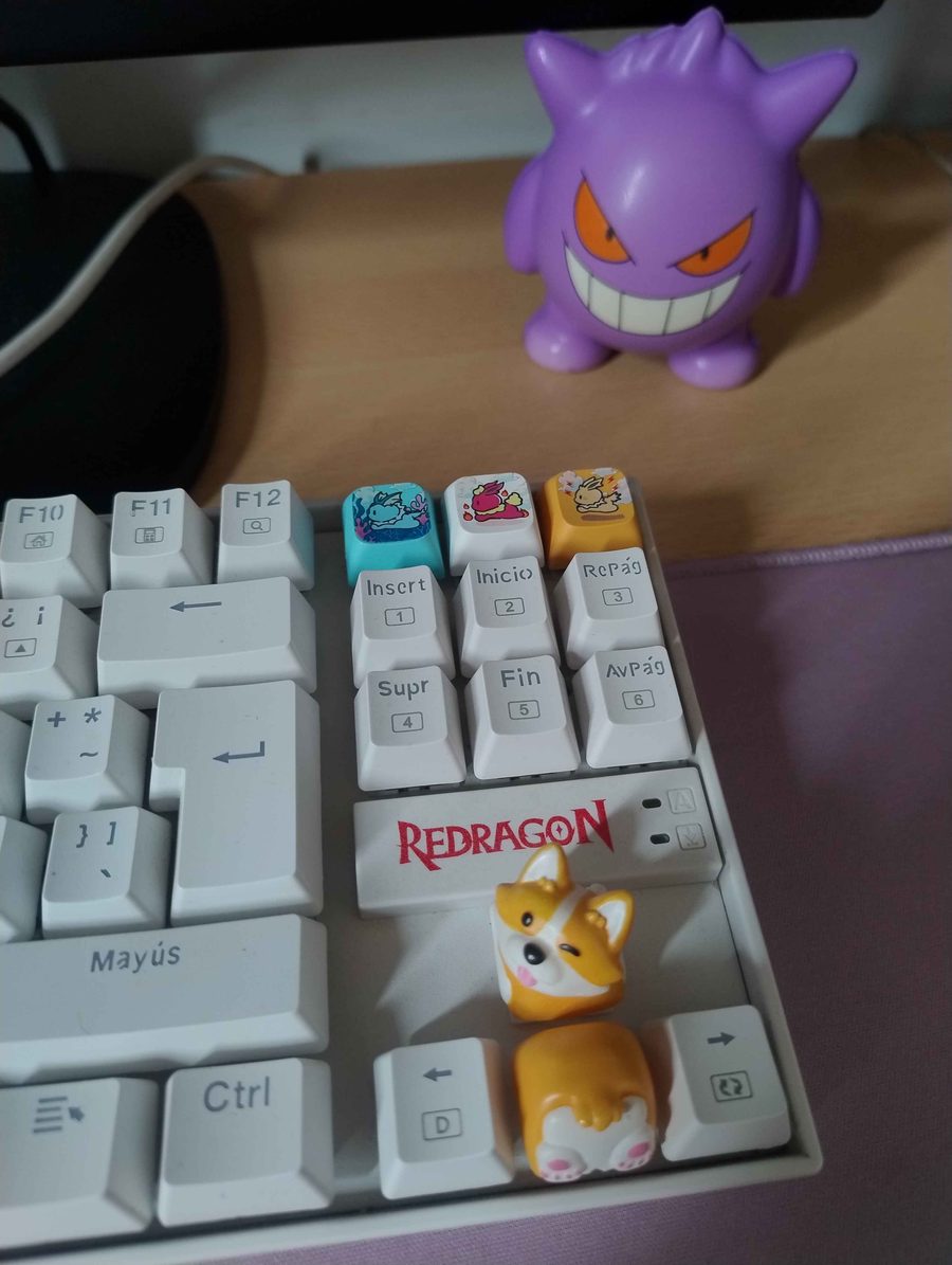 Pedido de Onicaps recibido
