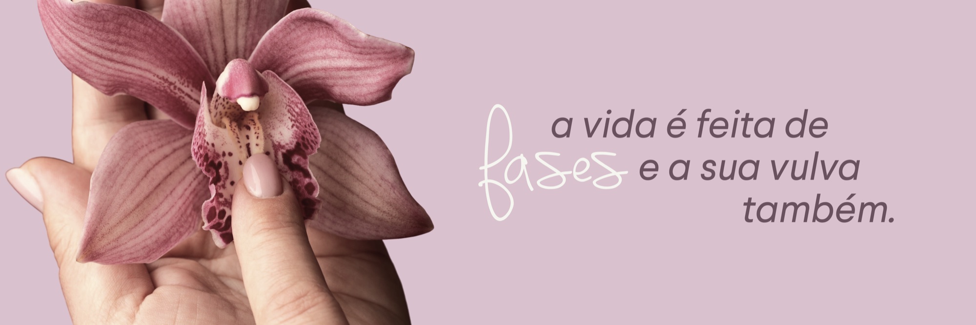 A vida é feita de fases e a sua vulva também