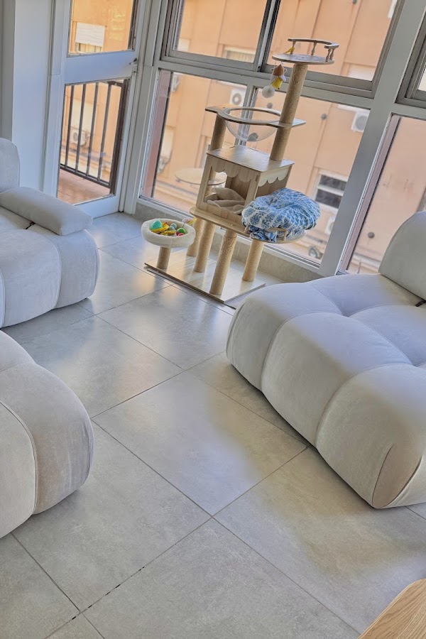 Foto del sillón compartida por Brenda Pereira en su reseña de Google Maps