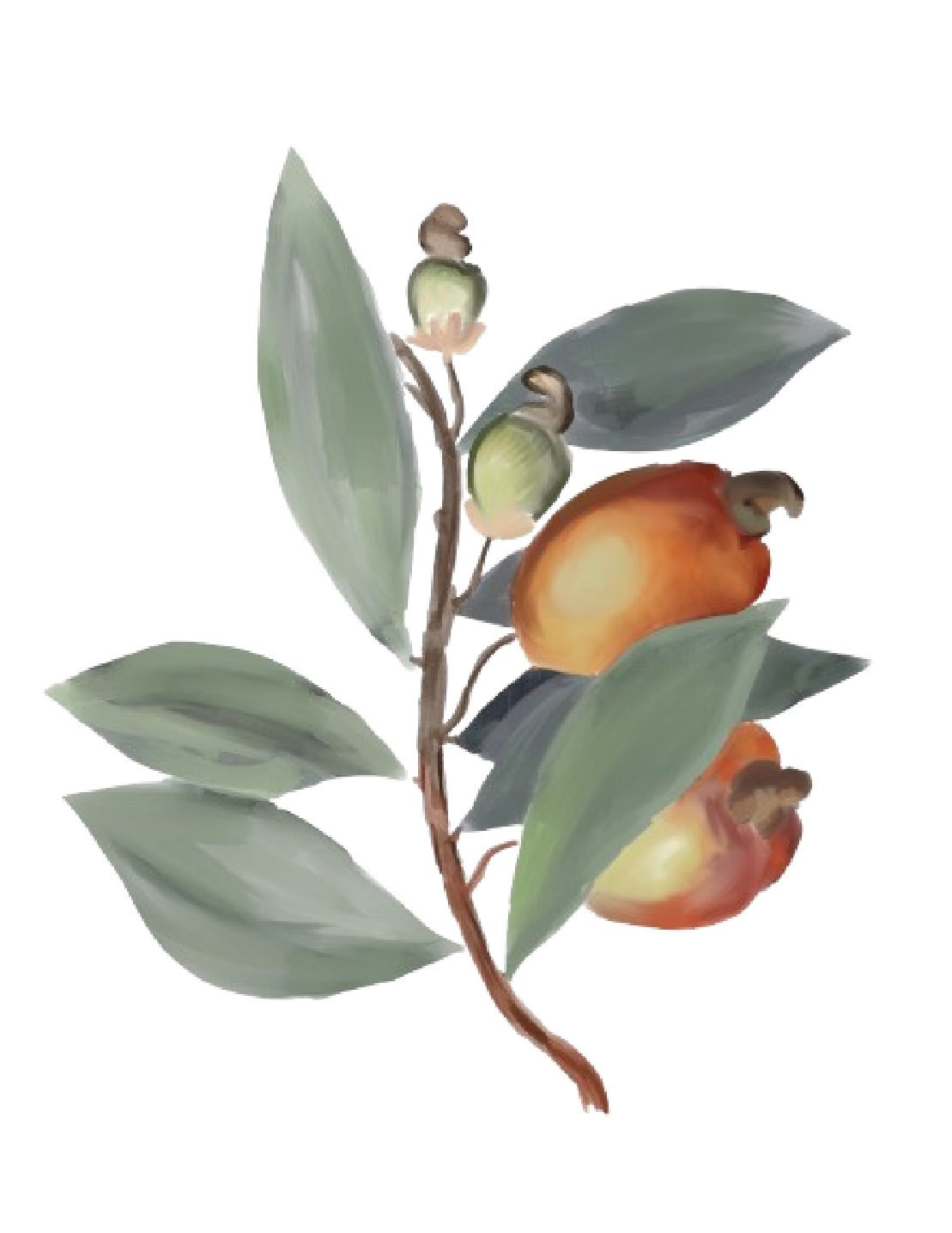 Almendras Dulces