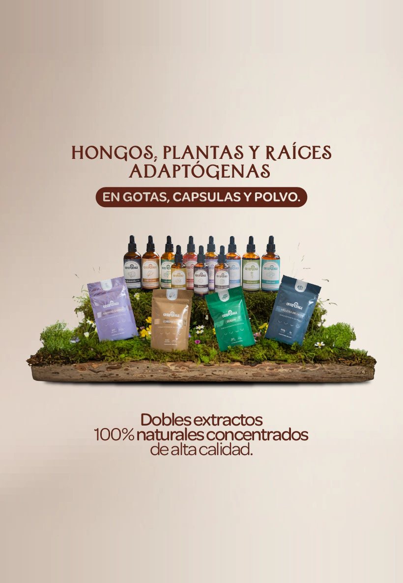 Hongos, plantas y raíces adaptógenas en gotas, cápsulas y polvo. Dobles extractos 100% naturales concentrados de alta calidad.