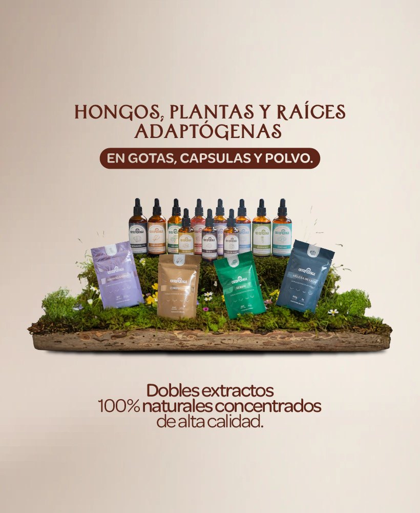 Hongos, plantas y raíces adaptógenas en gotas, cápsulas y polvo. Dobles extractos 100% naturales concentrados de alta calidad.