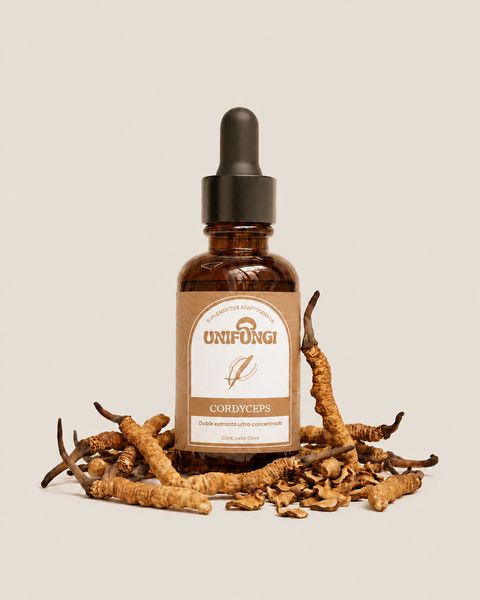 CORDYCEPS - Doble extracto