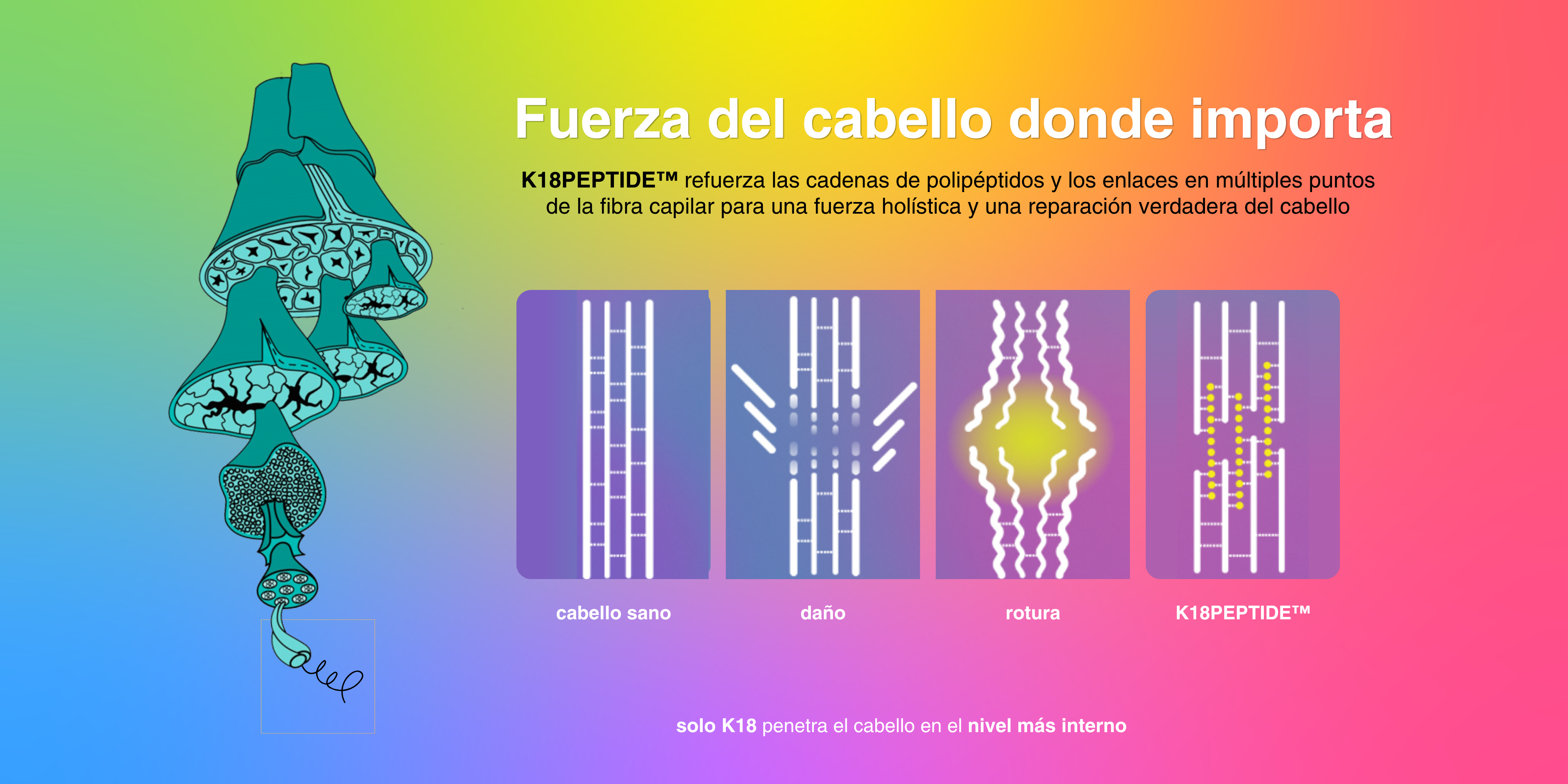 Descubre nuestra biotecnología patentada