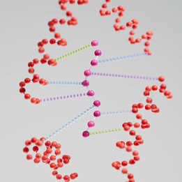 K18PEPTIDE™