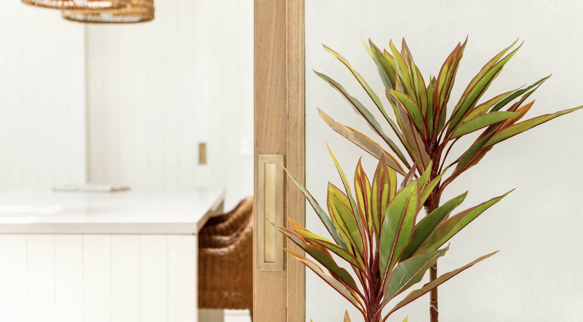 Dracena artificial BRIZA Deco junto a una puerta de madera