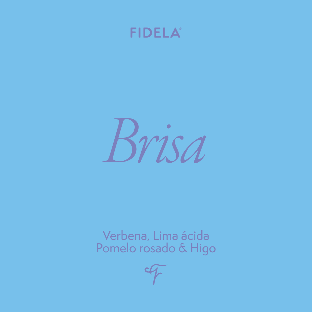 Brisa