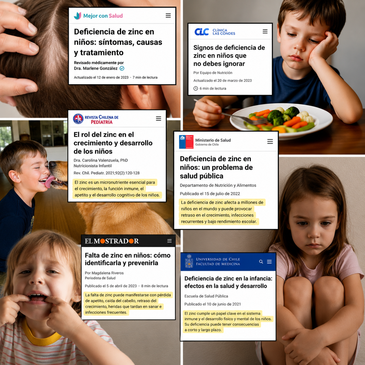 Artículos médicos sobre deficiencia de zinc en niños — Revista Chilena de Pediatría, Ministerio de Salud, Clínica Las Condes, El Mostrador, Universidad de Chile