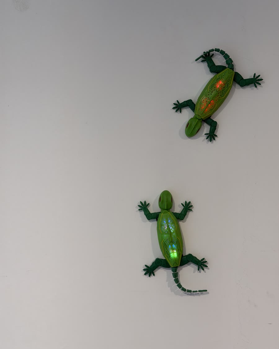 Dos iguanas trepando la pared de un living