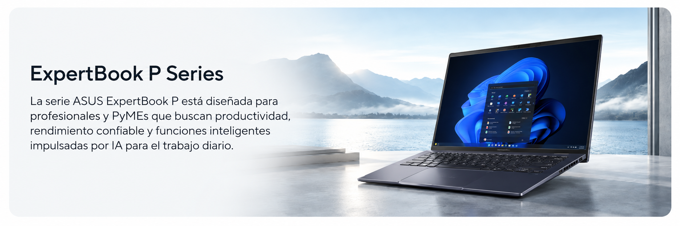 ASUS ExpertBook P Series