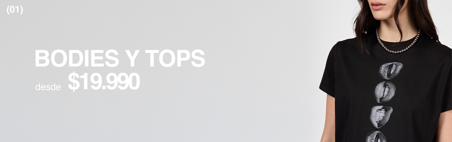 Banner 1