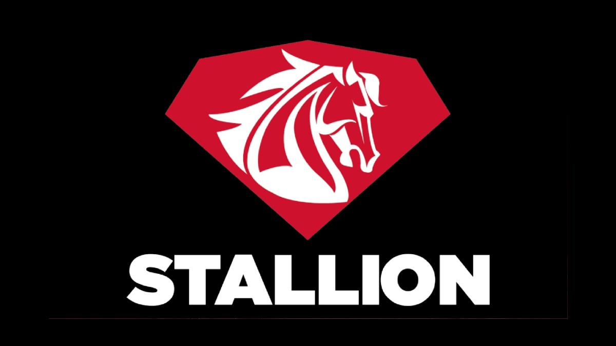 Stallion