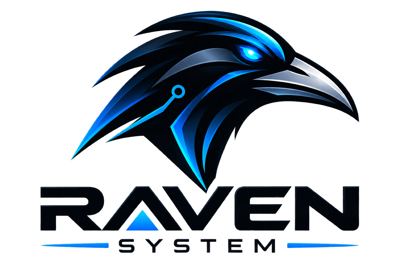 RAVEN System