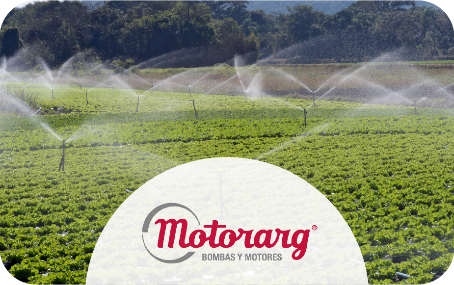 Motorarg