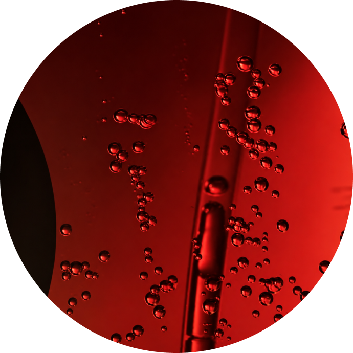Resveratrol