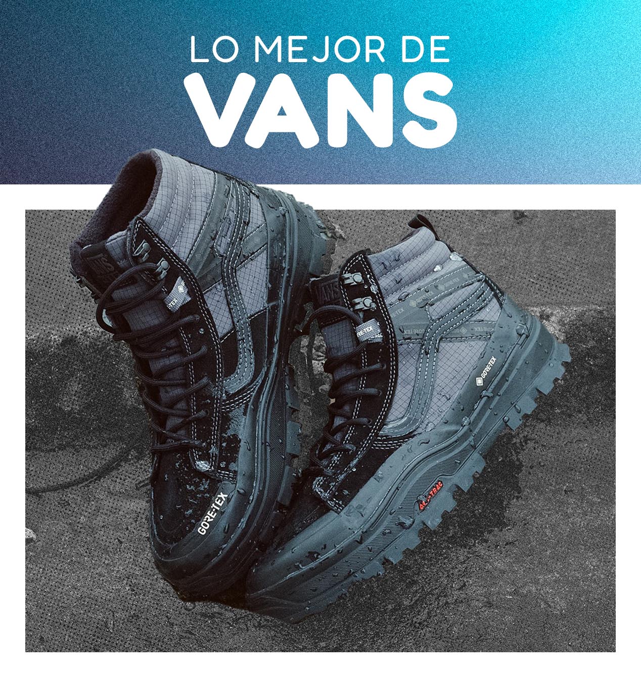 Lo mejor de Vans