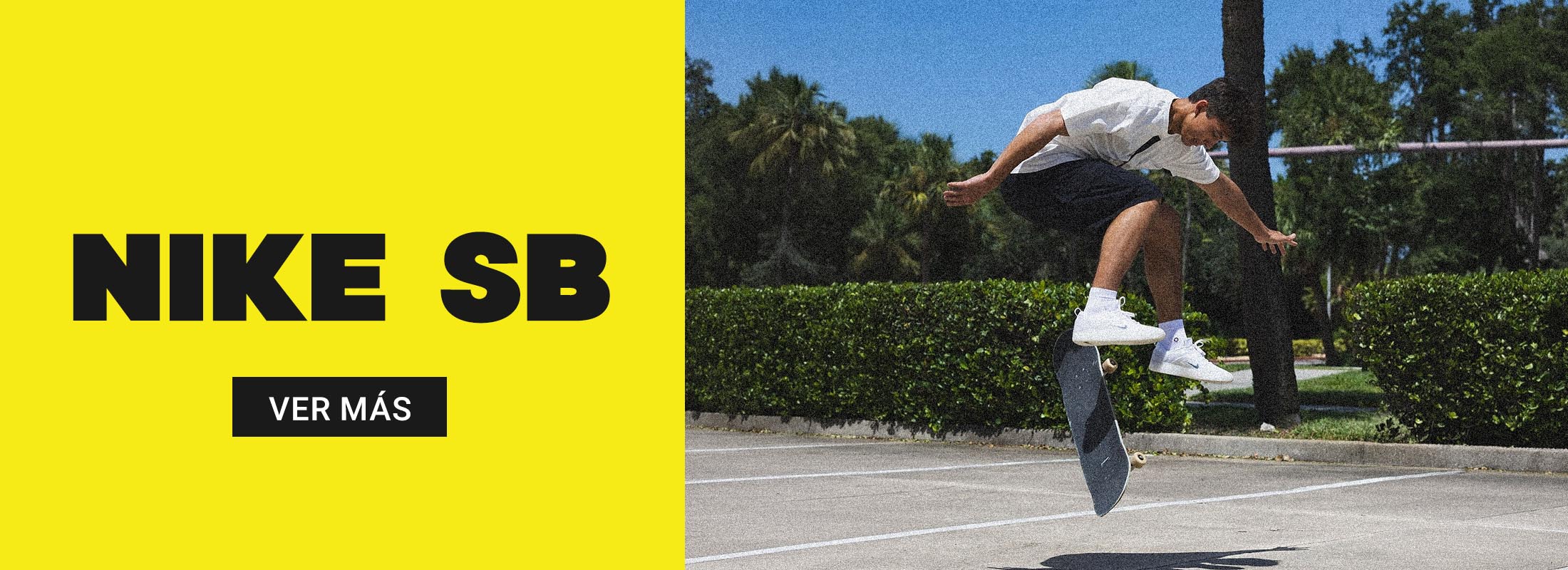 Feria Drifters Nike SB