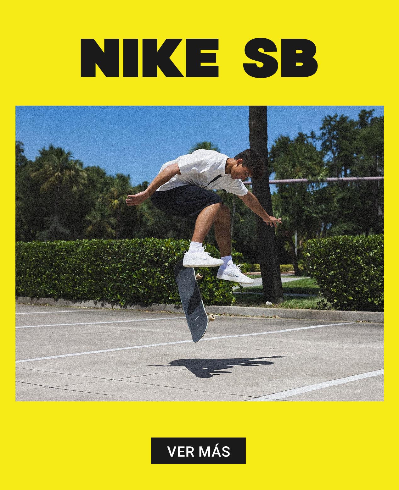 Feria Drifters Nike SB