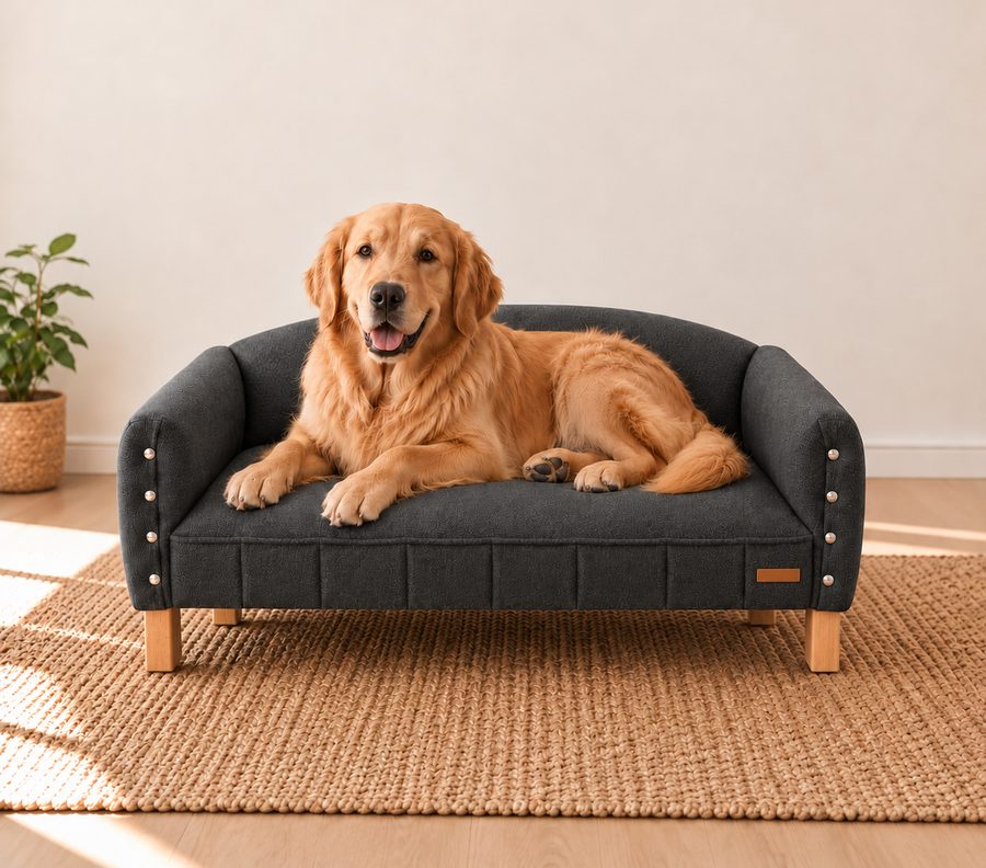 Golden retriever acostado en un sillón Happy Pets gris oscuro