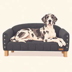 Perro gigante en su sillón