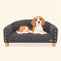 Perro mediano en su sillón