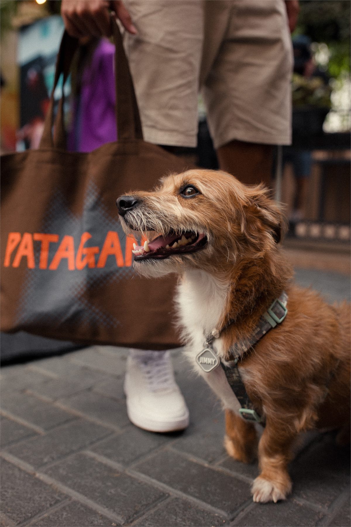 Gang da Pata - comunidade Patagang 02