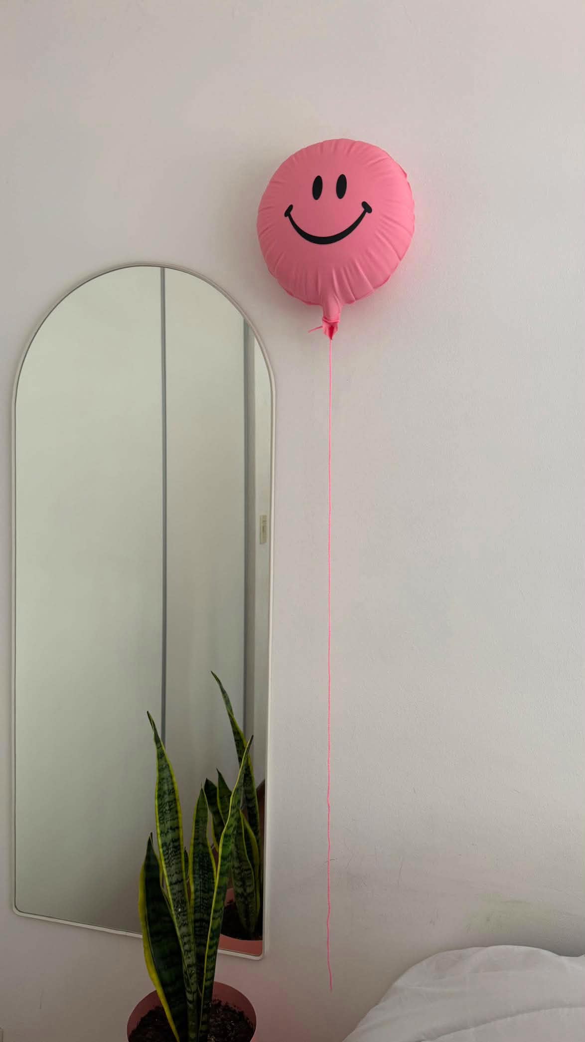 Happy Face Balloon rosa junto a espejo y plantas