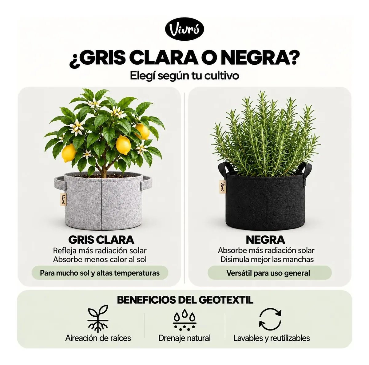 Maceta de geotextil gris clara con limonero y maceta negra con romero: cuándo elegir cada color
