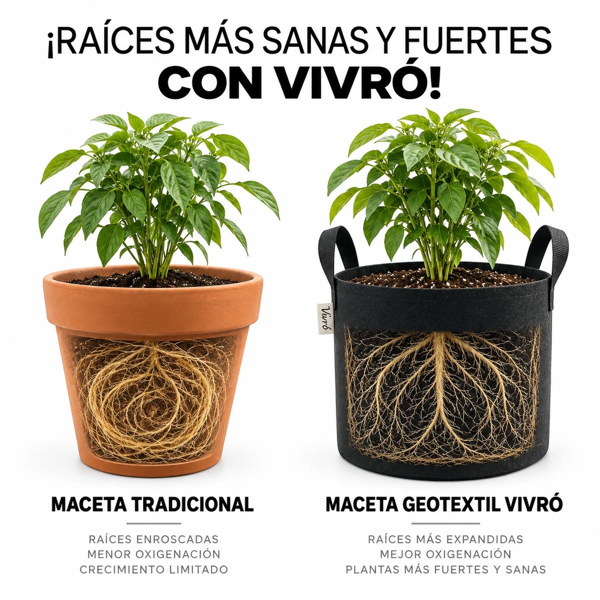 Maceta tradicional con raíces enroscadas junto a maceta de geotextil Vivró con raíces más expandidas