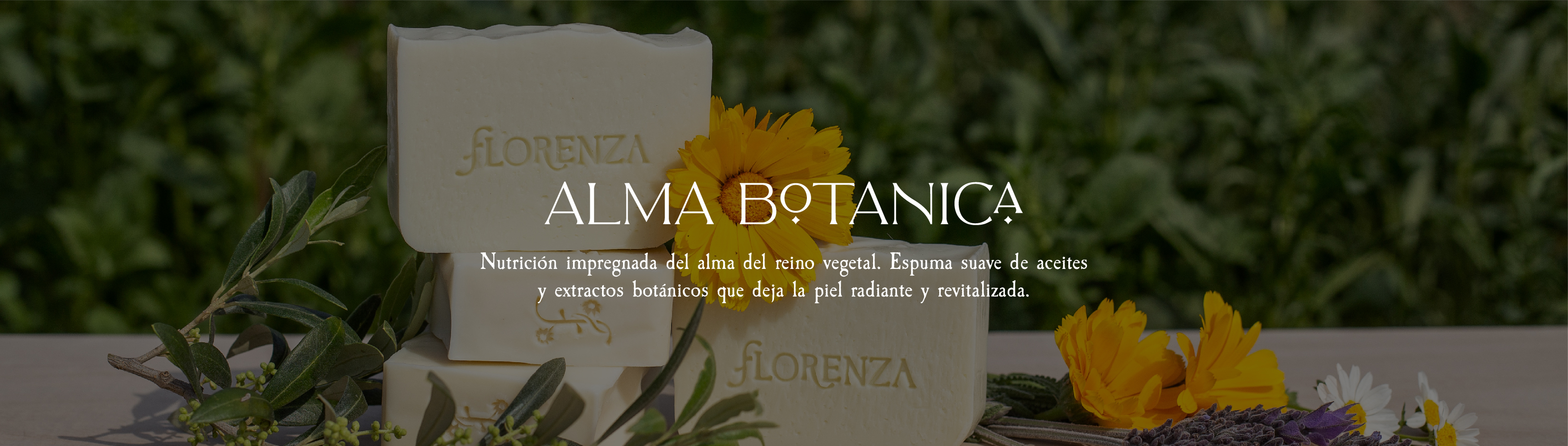 Banner de la categoría Línea Alma Botánica