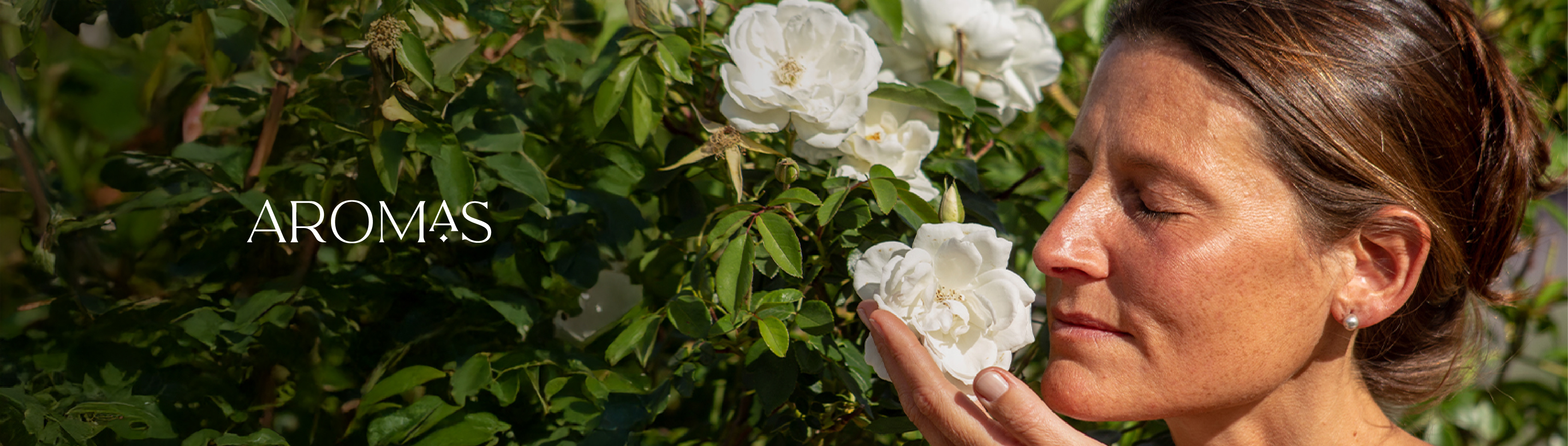 Banner de la categoría Aromas