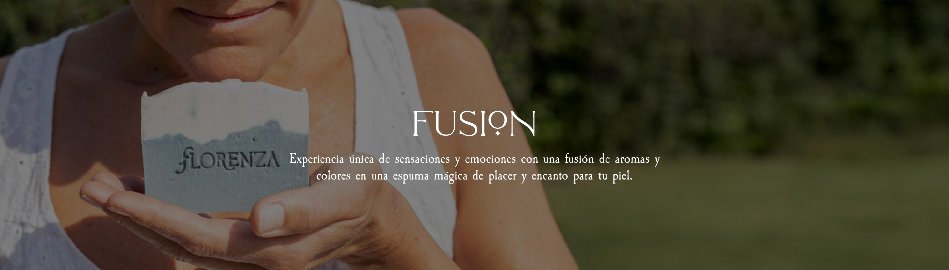 Banner de la categoría Línea Fusión