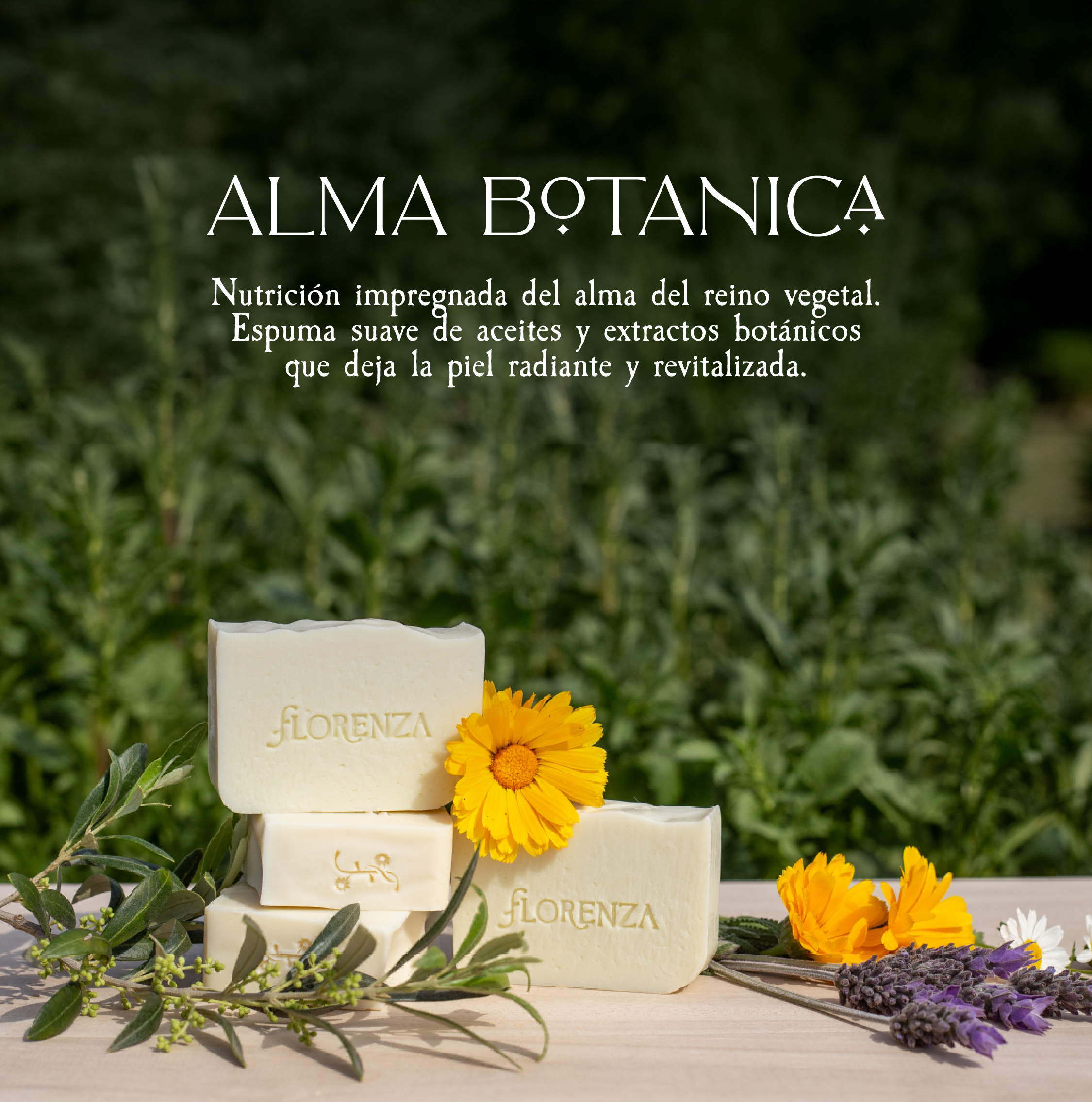 Banner de la categoría Línea Alma Botánica