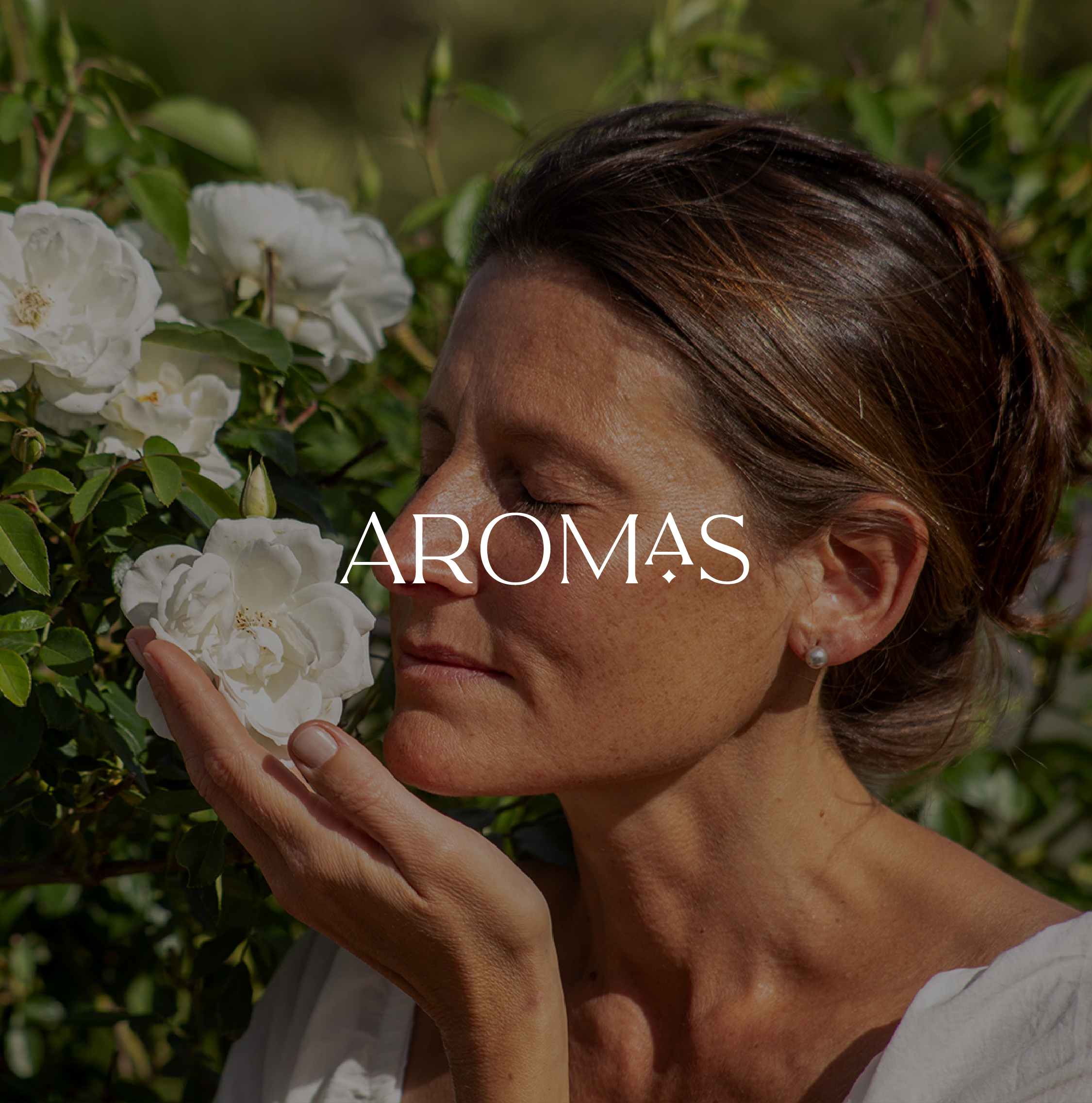Banner de la categoría Aromas