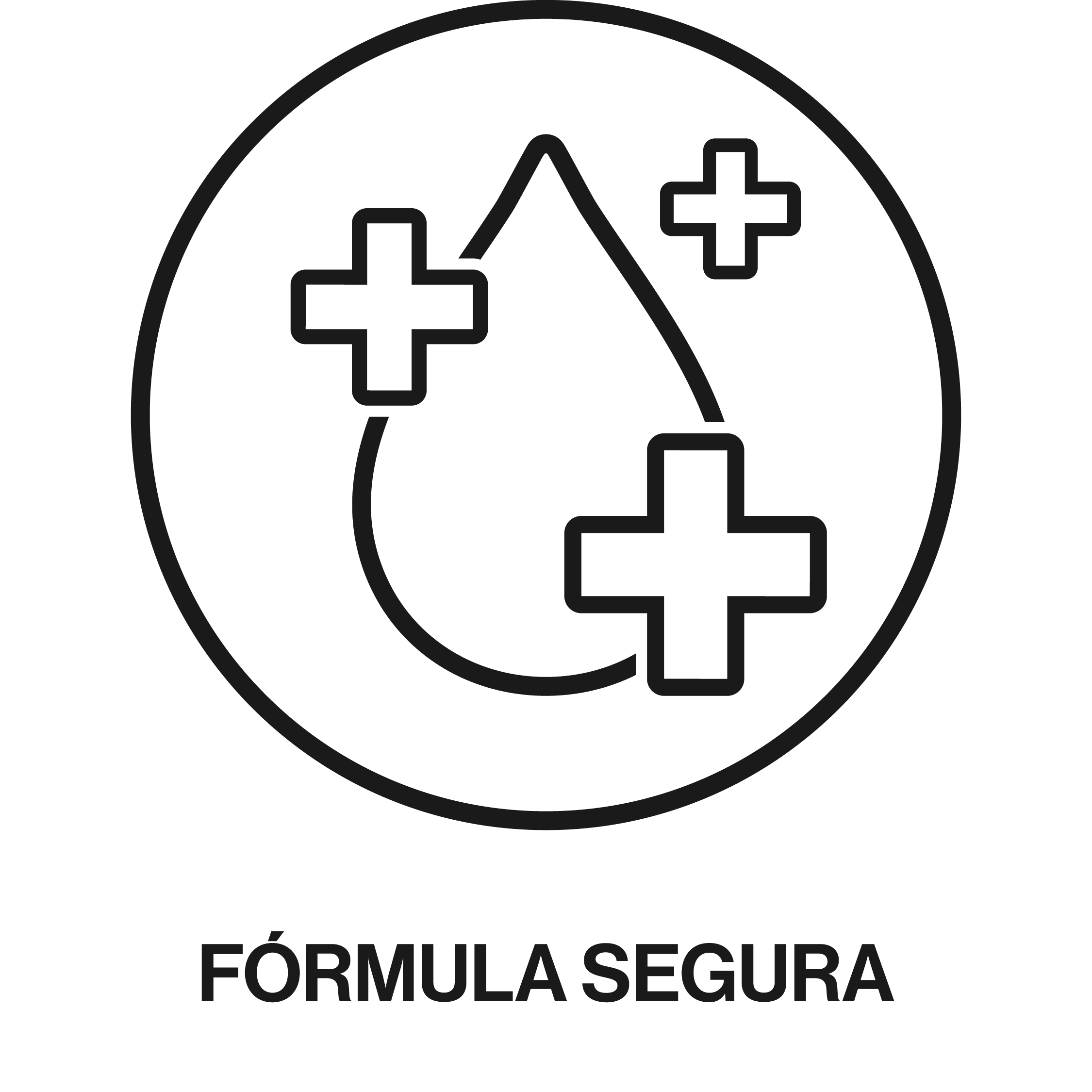 Fórmula segura