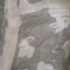 Foto de Manta Envoltório em Flanela enviada por quem comprou