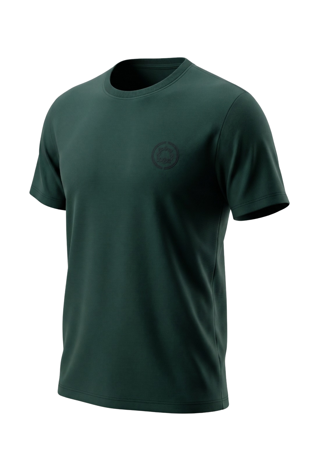 Camiseta Regular