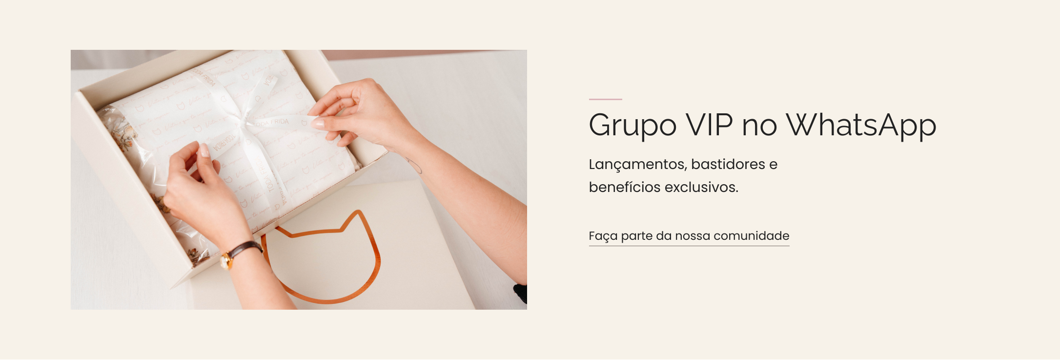 Grupo VIP no WhatsApp. Lançamentos, bastidores e benefícios exclusivos. Faça parte da nossa comunidade.