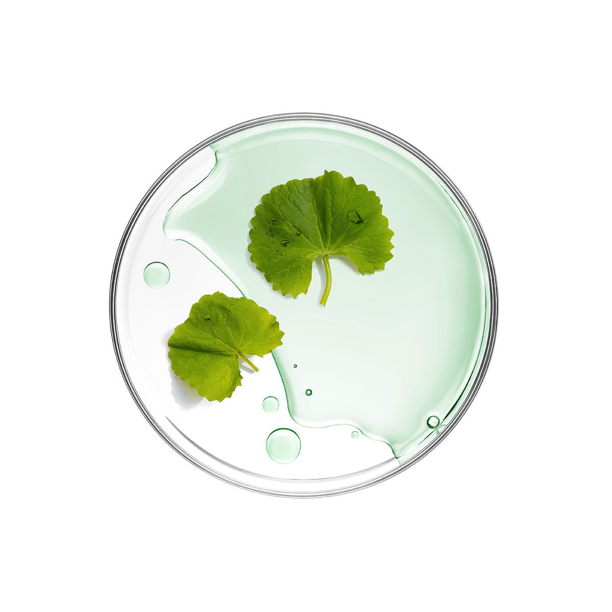 Centella Asiática